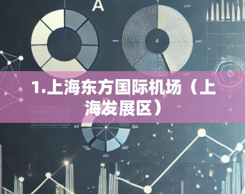 1.上海东方国际机场(上海发展区) 1.上海东方国际机场(上海发展区)