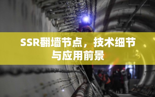 SSR翻墙节点,技术细节与应用前景 SSR翻墙节点,技术细节与应用前景