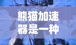 熊猫加速器是一种可能用于提升速度的技术装置,具体含义和应用取决于上下文。以下是对熊猫加速器的详细总结 熊猫加速器是一种可能用于提升速度的技术装置,具体含义和应用取决于上下文。以下是对熊猫加速器的详细总结