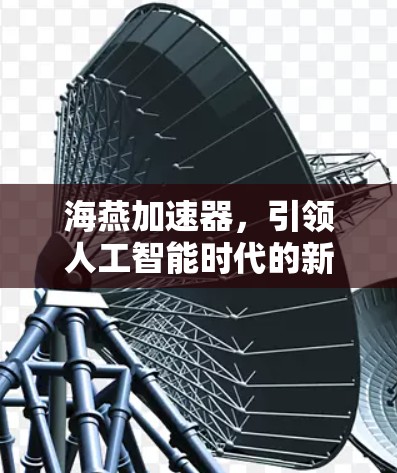 海燕加速器,引领人工智能时代的新革命 海燕加速器,引领人工智能时代的新革命