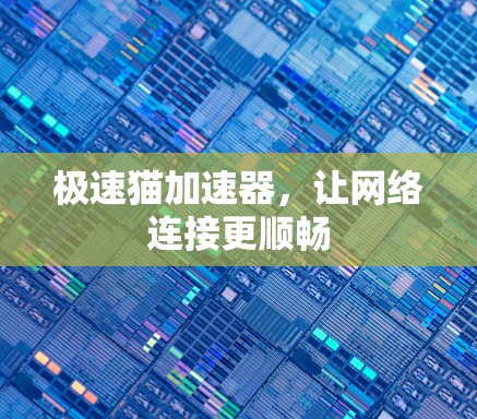 极速猫加速器,让网络连接更顺畅 极速猫加速器,让网络连接更顺畅