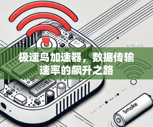 极速鸟加速器,数据传输速率的飙升之路 极速鸟加速器,数据传输速率的飙升之路