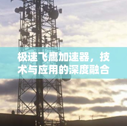 极速飞鹰加速器，技术与应用的深度融合