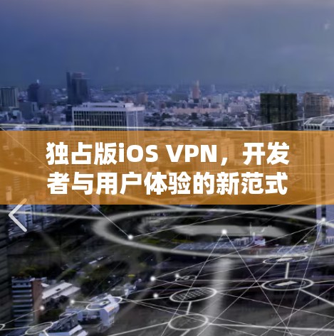 独占版iOS VPN，开发者与用户体验的新范式