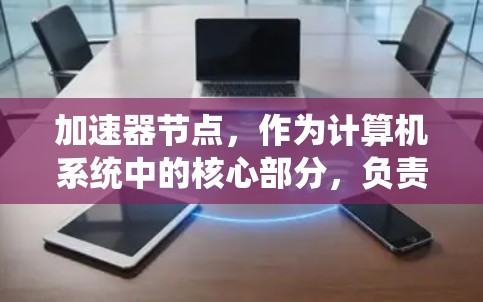 加速器节点，作为计算机系统中的核心部分，负责处理并加速特定任务。以下是对其结构、功能及应用的详细说明
