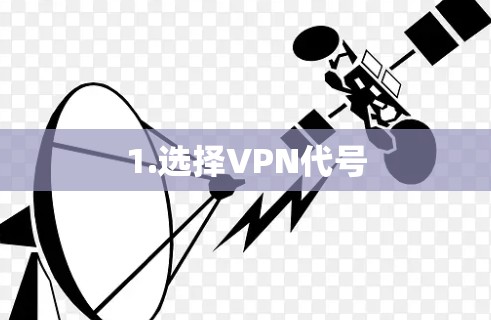 1.选择VPN代号 1.选择VPN代号