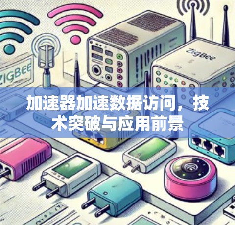 加速器加速数据访问，技术突破与应用前景