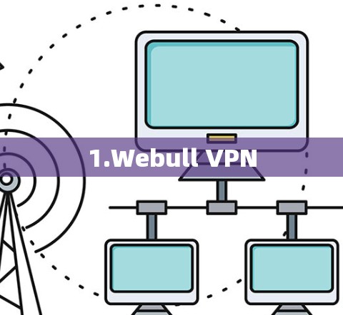 1.Webull VPN