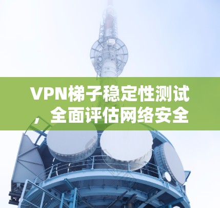 VPN梯子稳定性测试，全面评估网络安全与可靠性