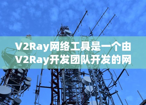 V2Ray网络工具是一个由V2Ray开发团队开发的网络服务，旨在为用户提供网络连接和设备管理功能。以下是对该工具的详细分析和使用指南