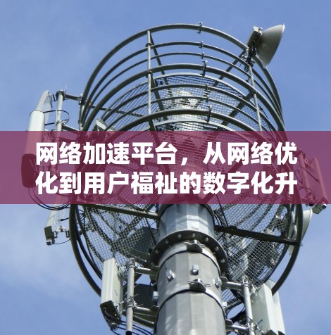 网络加速平台，从网络优化到用户福祉的数字化升级