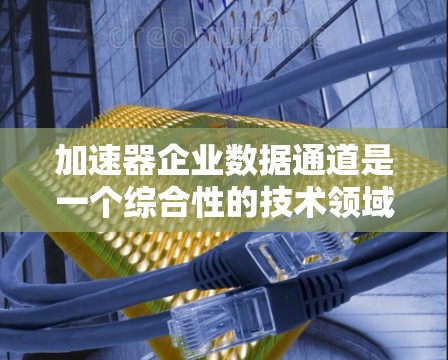 加速器企业数据通道是一个综合性的技术领域，涉及数据存储、传输、安全和用户体验等多个方面的优化。以下是对该领域的详细分析