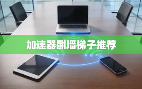 加速器翻墙梯子推荐