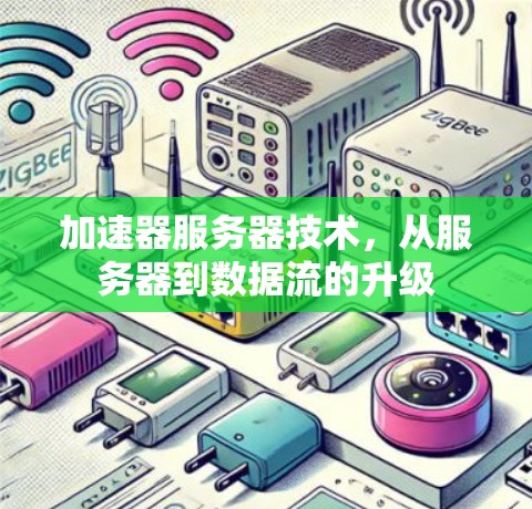 加速器服务器技术，从服务器到数据流的升级