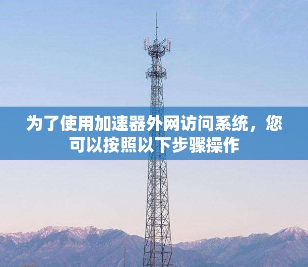 为了使用加速器外网访问系统，您可以按照以下步骤操作
