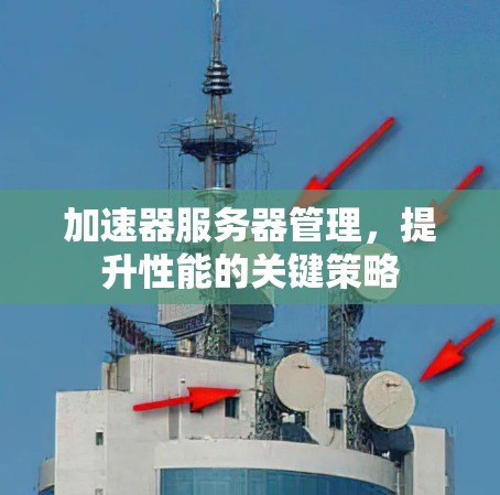 加速器服务器管理，提升性能的关键策略