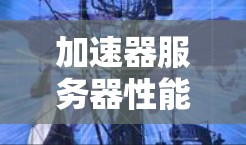 加速器服务器性能比较报告