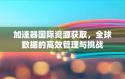 加速器国际资源获取，全球数据的高效管理与挑战