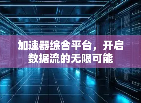 加速器综合平台，开启数据流的无限可能