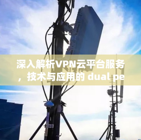 深入解析VPN云平台服务，技术与应用的 dual perspective
