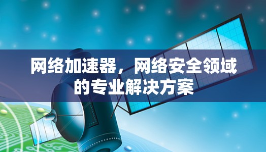 网络加速器，网络安全领域的专业解决方案
