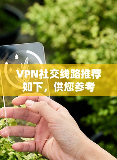 VPN社交线路推荐如下，供您参考