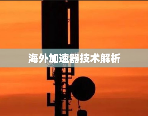 海外加速器技术解析