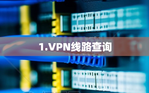 1.VPN线路查询