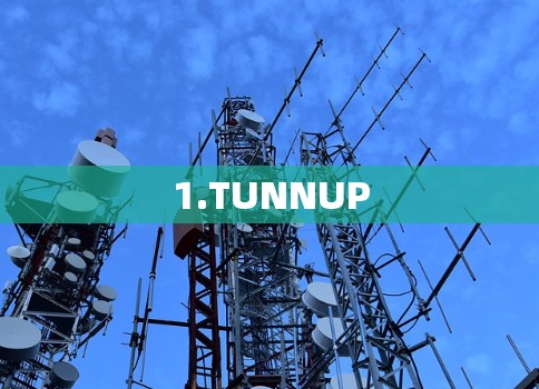 1.TUNNUP
