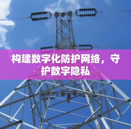 构建数字化防护网络，守护数字隐私