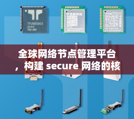 全球网络节点管理平台，构建 secure 网络的核心