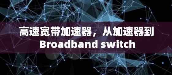 高速宽带加速器，从加速器到 Broadband switch