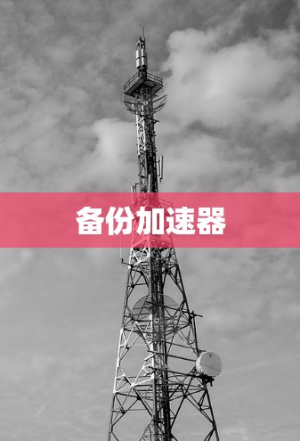备份加速器