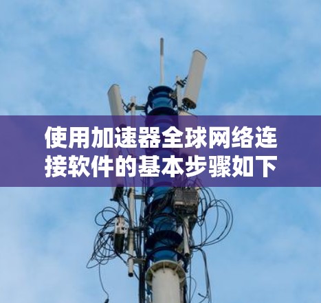 使用加速器全球网络连接软件的基本步骤如下