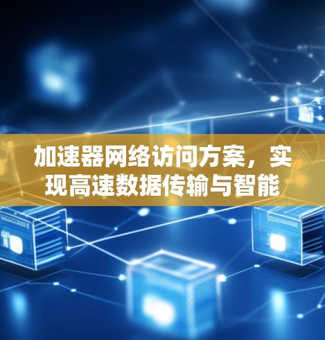 加速器网络访问方案，实现高速数据传输与智能决策