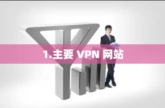 1.主要 VPN 网站