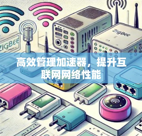 高效管理加速器，提升互联网网络性能