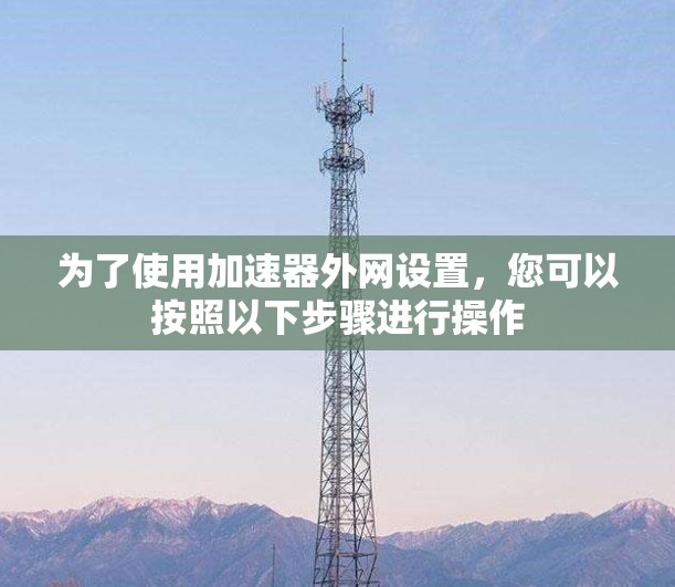 为了使用加速器外网设置，您可以按照以下步骤进行操作