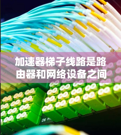 加速器梯子线路是路由器和网络设备之间的连接方式，用于支持复杂的网络协议，如IPsec、HTTP/2、HTTP/3等。以下是关于加速器梯子线路的详细指南