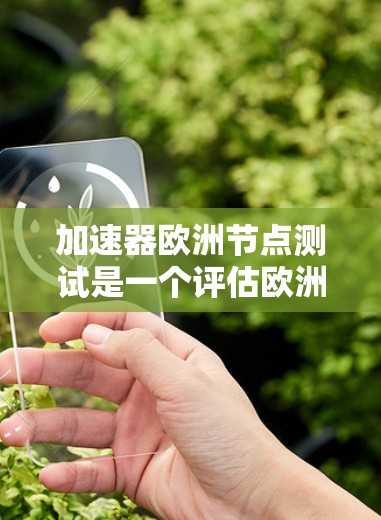 加速器欧洲节点测试是一个评估欧洲地区加速器芯片性能的重要项目，主要关注这些芯片在欧洲市场的表现。以下是详细的步骤解释