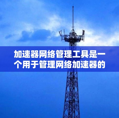 加速器网络管理工具是一个用于管理网络加速器的软件工具，旨在优化网络下载速度。以下是该工具的详细分析