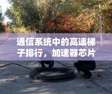 通信系统中的高速梯子排行，加速器芯片的高效Sort
