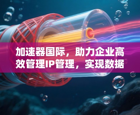 加速器国际，助力企业高效管理IP管理，实现数据传输最大化