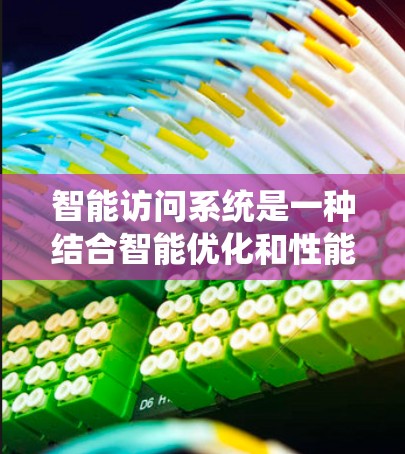 智能访问系统是一种结合智能优化和性能提升的软件技术，旨在在软件运行时自动优化资源访问策略，以提高系统效率。以下是对该概念的详细解析