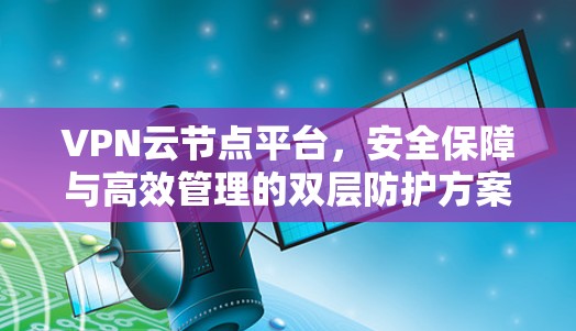 VPN云节点平台，安全保障与高效管理的双层防护方案