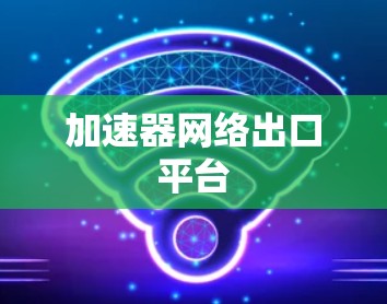 加速器网络出口平台