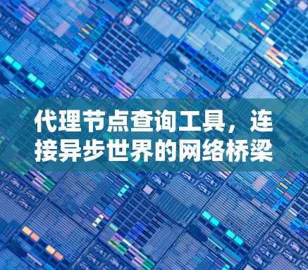 代理节点查询工具，连接异步世界的网络桥梁