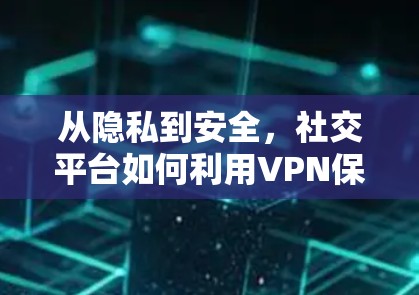 从隐私到安全，社交平台如何利用VPN保护数据