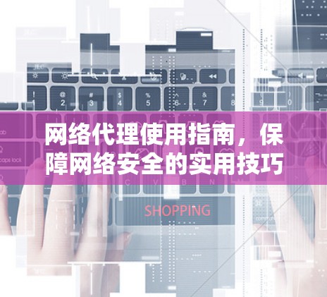 网络代理使用指南，保障网络安全的实用技巧