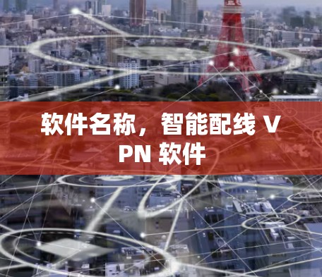 软件名称，智能配线 VPN 软件